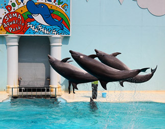 神戸市立須磨海浜水族園